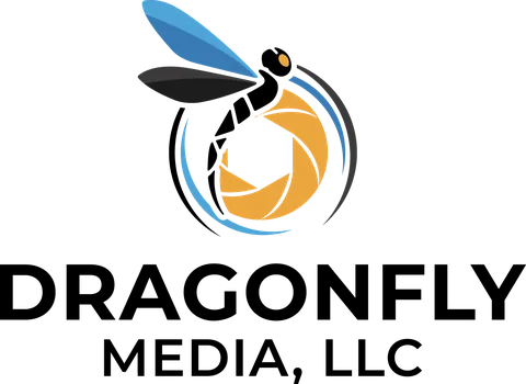 Dragonfly Media logo identity designed by LaChute Designs