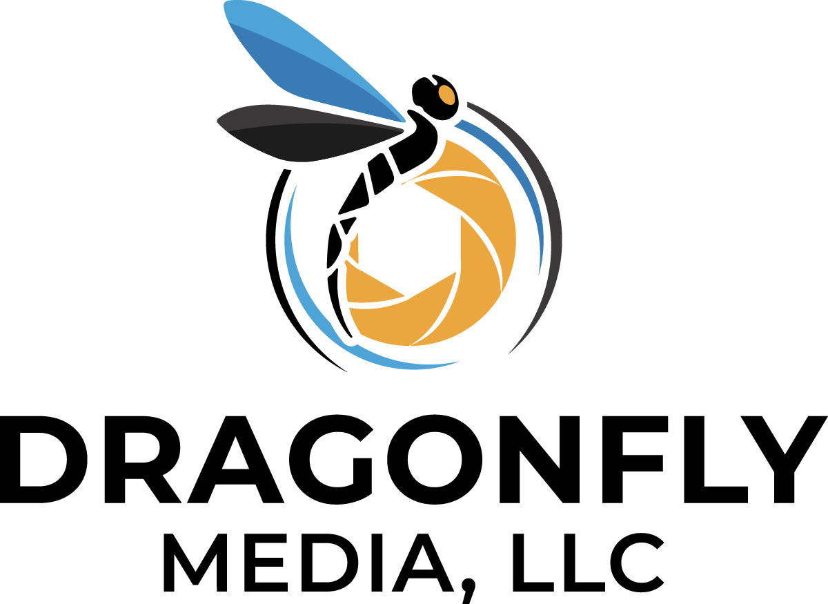 Dragonfly Media logo identity designed by LaChute Designs